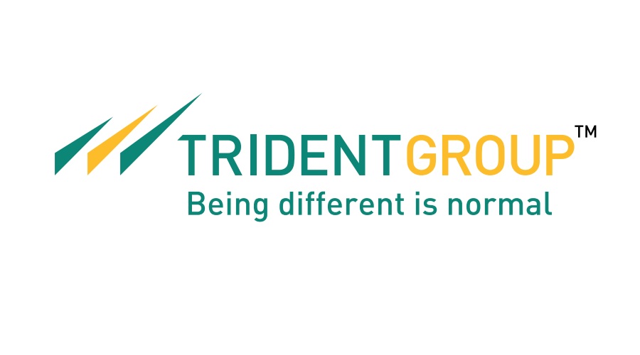 Trident Ltd posts consolidated net profit of Rs. 73.73 crores in Q1 FY2025